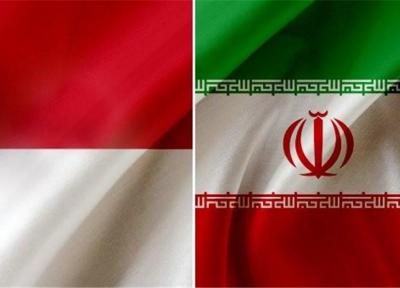 رئیس مجلس اندونزی سه شنبه وارد تهران می گردد