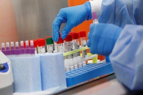 شمار مبتلایان به کرونا در سوریه به 29 نفر رسید شمار مبتلایان به کرونا در سوریه به 29 نفر رسید
