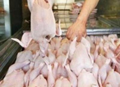 فروشندگان مرغ به بهانه قطعه بندی گران فروشی نکنند خبرنگاران