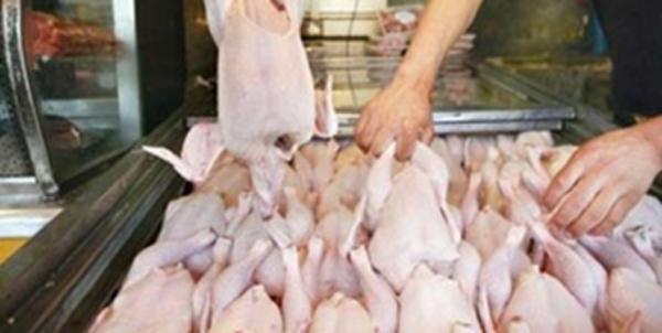 فروشندگان مرغ به بهانه قطعه بندی گران فروشی نکنند خبرنگاران