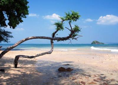 تور تایلند لحظه آخری: کو سامت، جزیره ای رویایی برای گذراندن تعطیلات در تایلند